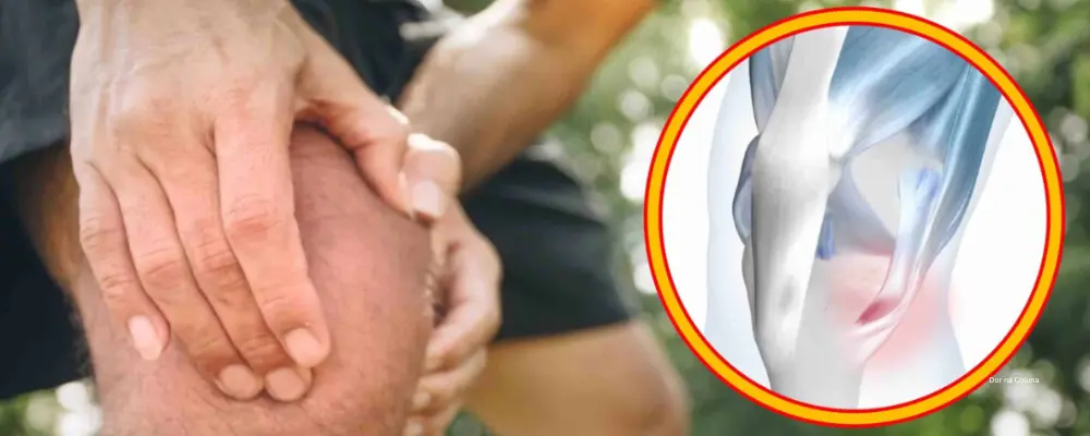 Tendinopatia Pata de Ganso: Fisioterapia Especializada 1 Tendinopatia Pata de Ganso
